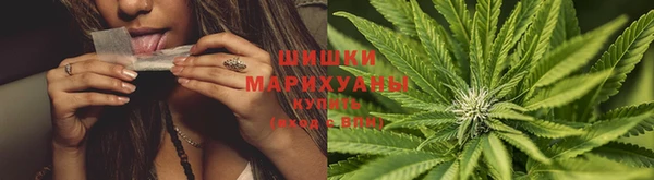 jwh Вязьма