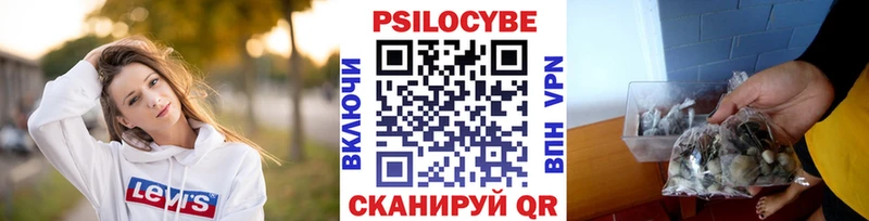 Купить где  Всеволожск  Галлюциногенные грибы прущие грибы 