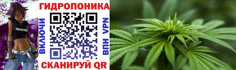 Купить закладки  Всеволожск  Канабис планчик 